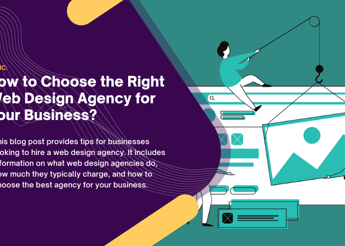 How to Choose the Right Web Design Agency for Your Business featured image